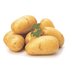 Картофель Армада