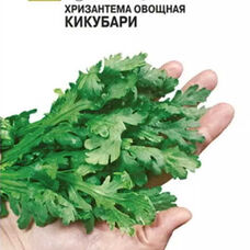 Хризантема Кикубари овощная (Семко)