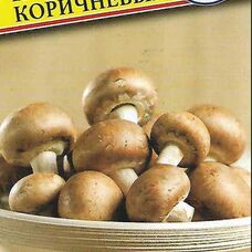 Мицелии грибов Шампиньон коричневый