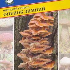 Мицелии грибов Опенок зимний