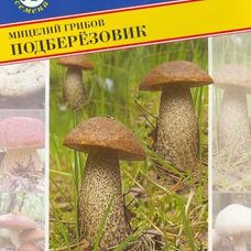 Мицелии грибов Подберезовик