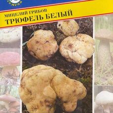Мицелии грибов Трюфель белый