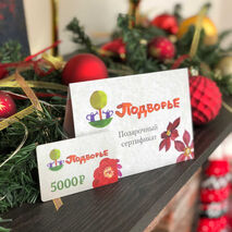 Сертификат подарочный на 5000 рублей