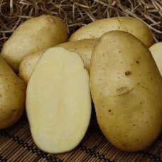 Картофель Колетте
