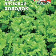 Салат Холодок (листовой)