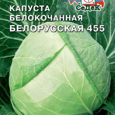 Капуста белокочанная Белорусская 455