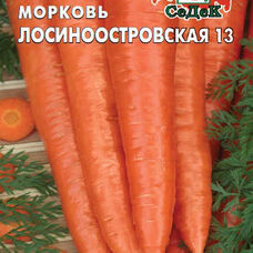 Морковь Лосиноостровская-13