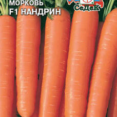 Морковь Нандрин
