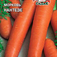 Морковь Нантезе