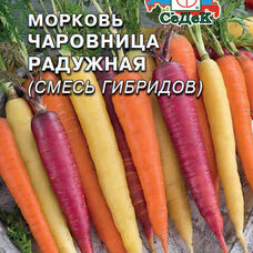 Морковь Чаровница радужная