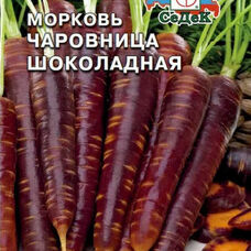 Морковь Чаровница шоколадная