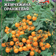 Томат Жемчужина оранжевая