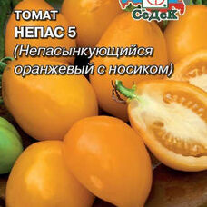 Томат Непас 5 непасынкующийся оранжевый с носиком
