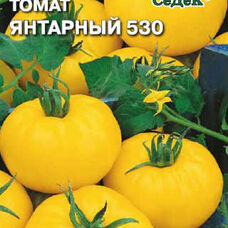 Томат Янтарный 530