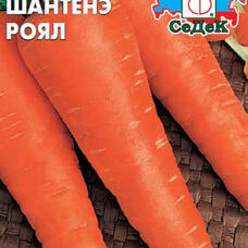 Морковь Шантенэ роял