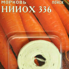 Морковь НИИОХ 336