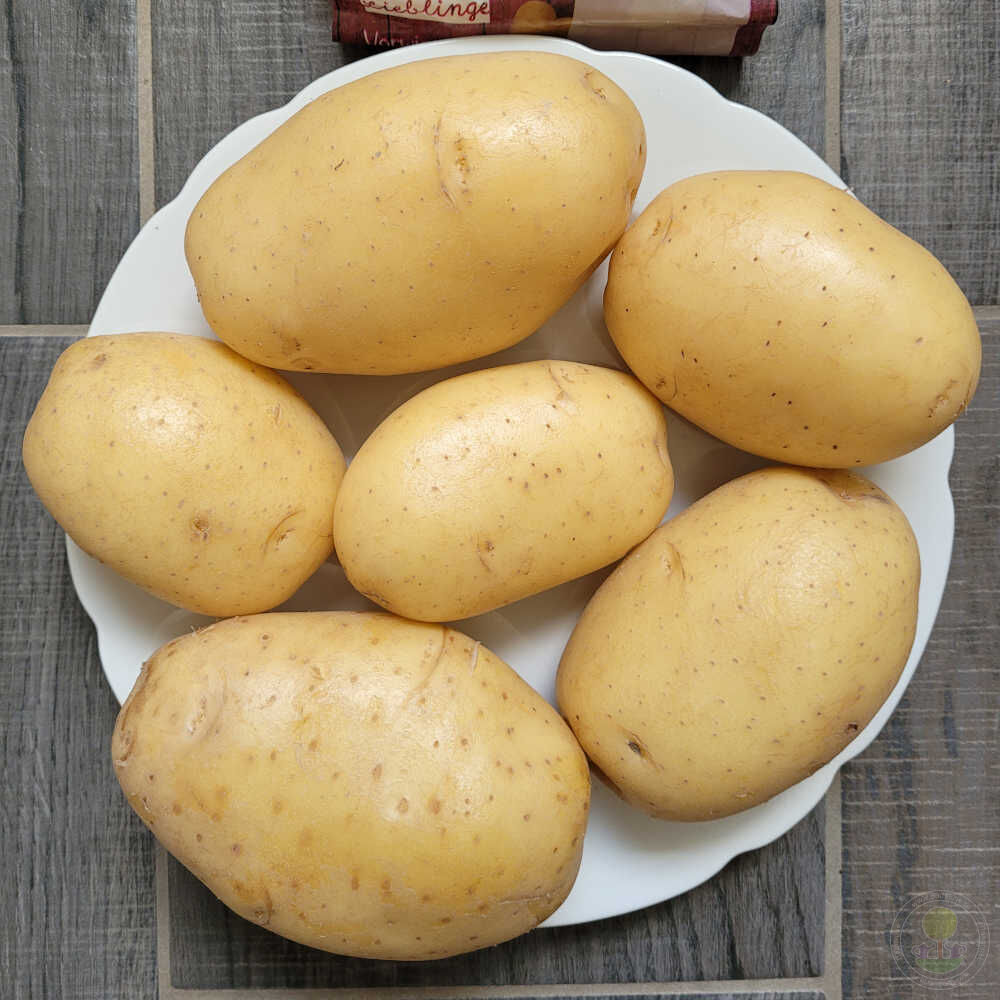 Картофель коломбо характеристика сорта отзывы