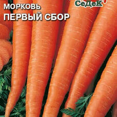 Морковь Первый Сбор